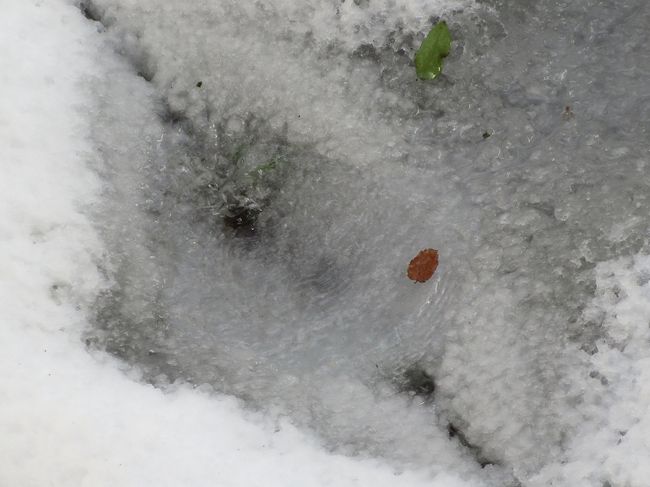 出発までまったりしてましたが…<br /><br />さすがに今日移動しないとまずいので、後ろ髪ひかれる思いで祖母に別れを告げて、タクシーで駅へ。