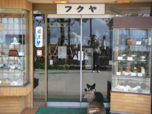 鹿がお店の玄関に（参道途中、向かいは海岸）。