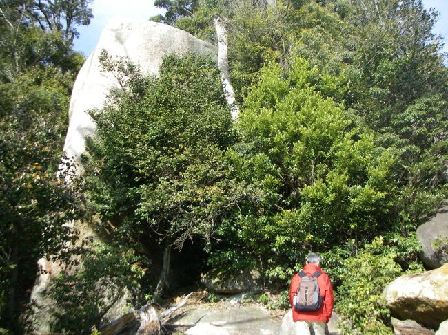 弥山山頂付近には「消えずの火」のあるお堂や本堂などお堂が幾つかありますが、巨石がたくさん。