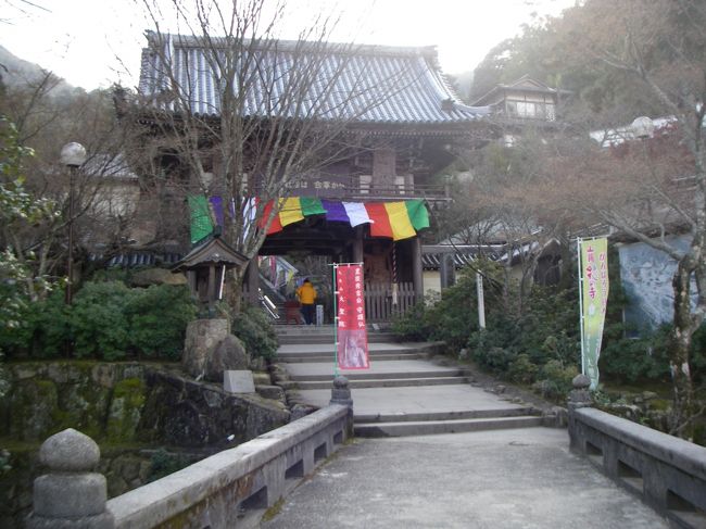 大聖院の幾つかのお堂を眺めながら、仁王門へ。