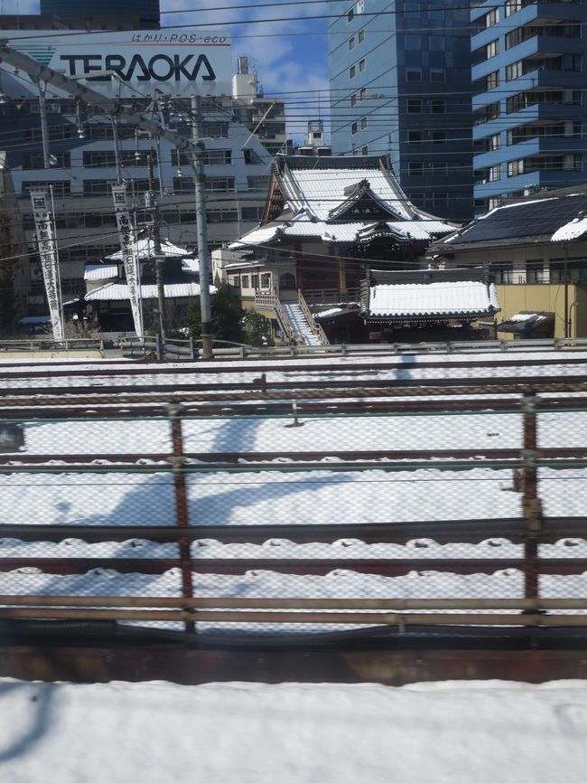 お寺の屋根にも雪。