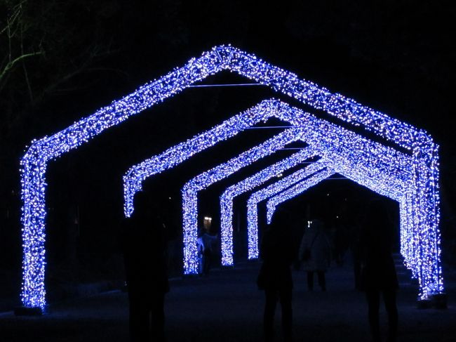 近くまでくるとブルーだった。<br /><br /><br />平日のせいか人も少なくなんとなく物寂しい『なら瑠璃絵』会場。<br /><br />寒い日ではなかったけれど寒い色、ブルーというより『蒼』かな。