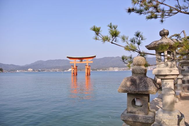 シカを撮りに宮島』宮島・厳島神社(広島県)の旅行記・ブログ by つぼ