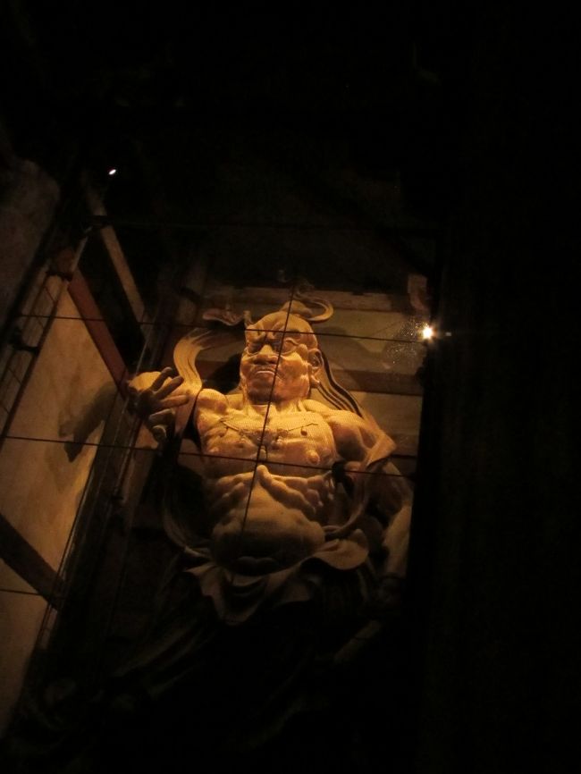 うん形像。<br /><br />闇夜に照らしだされるとまるで生きているよう。<br />今にものっしのっしと歩きだしそうです。<br />網を破って出てきて欲しかったなぁ。