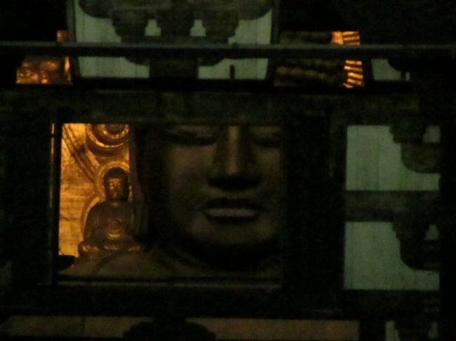 そして大仏殿の開いた小窓から覗いた大仏さまのお顔を拝むことができました!<br /><br />自分の目ではしかと確かめられなかった大仏様のお顔ですが、カメラは大きくお顔を捉えました。<br /><br />普段美上げるお顔より親しみのあるお顔をしてらっしゃいます。<br />嬉しい!<br /><br />