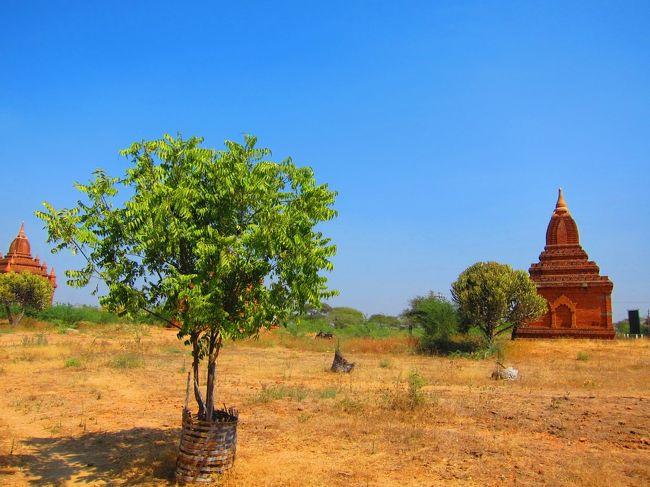 しばらくして、馬車が来ました。<br /><br />人生で初めて馬車に乗って観光です。<br />本当にの〜んびりした感じです。<br />馬車ってけっこうのっそり走るんですね。<br />日本にいるといつも時間にアクセクしているんですが、こうやってゆったり、のんびり時間を気にせず観光できるのはいいですね。
