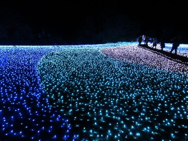 新公会堂に入ります。<br /><br />新公会堂の庭園はLEDの青い光で夜空のような幻想的な空間。<br /><br />有料エリアはこの空間を散歩できるのですが、私たちは無料コースで。<br />無料でも目の前にこのような美しい情景見ることができるので、まあ恋人同士でもないから良いか。