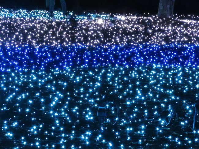 ヒカリゴケ?<br />銀河?<br />うっすら見える影は星屑の中を散歩している有料コースの恋人たちか子供のいる家族。<br /><br />どんな気持ちで歩いていたのかな?