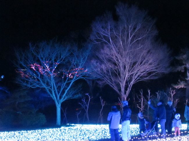 冬季オリンピックの開催中でもあったし、なんとなくスキー場みたいな風景も。<br /><br />凄く若い頃したオールナイトスキーを思い出しました〜