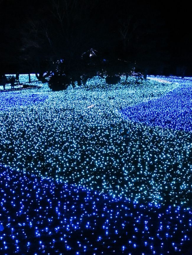 蒼いスキー場ってロマンティックかも♪