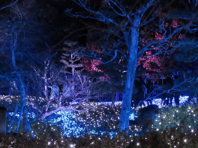 ちょっと恐いよ、蒼い森に異様な赤い花。