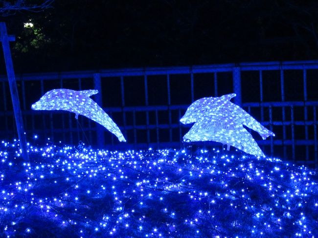 蒼いイルカたち。