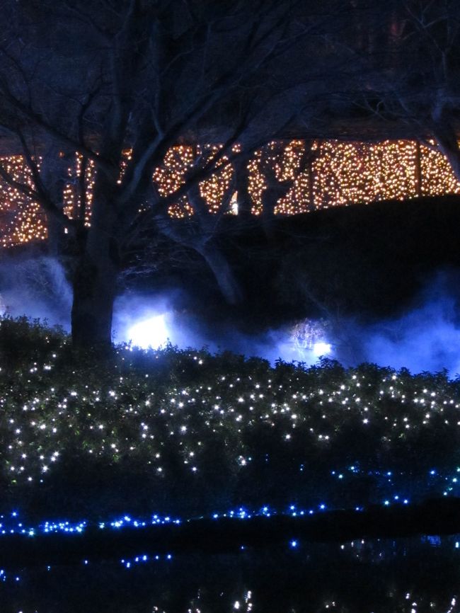 オレンジ色の回廊から見た青い湯気(霧と言った方がステキかな)はこれだったのかしら?