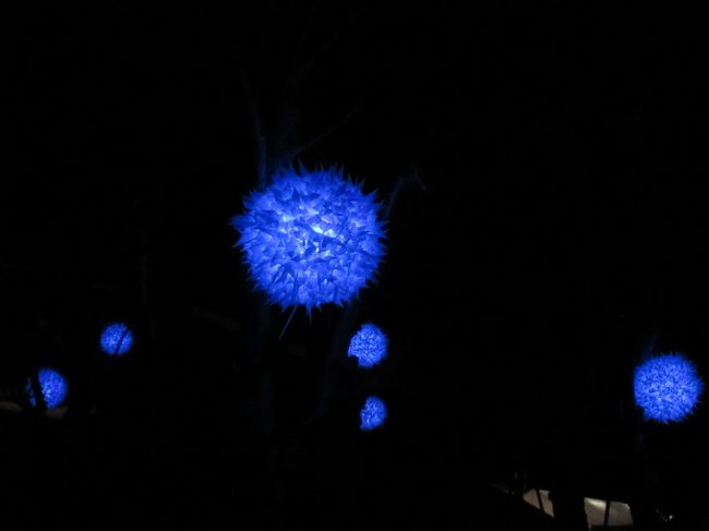 闇夜に浮かぶ蒼い球体はいったい?<br /><br />新公会堂の庭園を出て見たこの蒼い球体とっても気に入ったのでした。