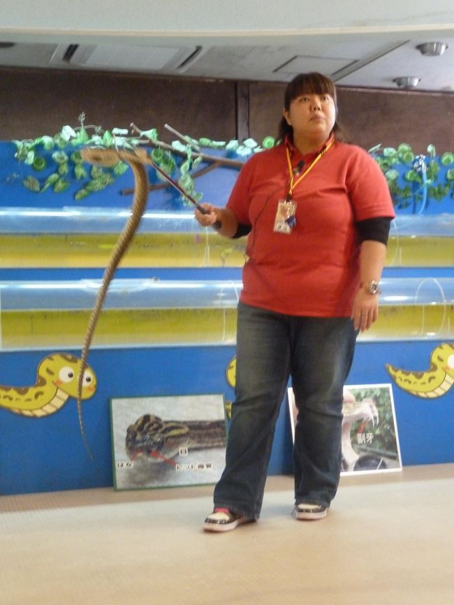 おねいさんがいとも簡単にひょいひょい蛇を振り回します。