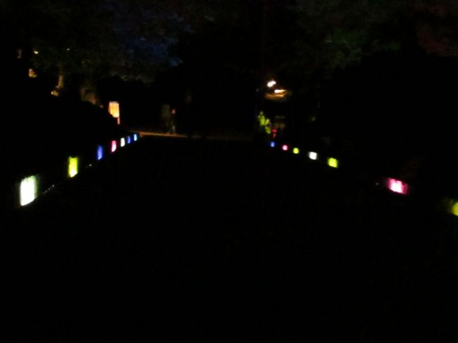 新公会堂から『光の夜神楽』と名づけられた春日大社への道に入ります。<br /><br />東大寺、新公会堂まではまだ賑やかであった「なら瑠璃絵」も春日大社への道に入るとさらに歩いている人は少なくなってきました。<br /><br />何の明りもない春日大社参道を歩くなどは恐くて警備員さんに止められた訳がわかりました。