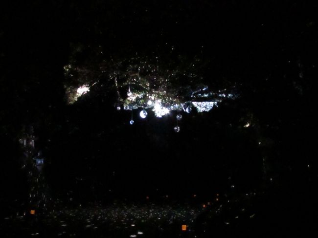 『ミラクル春日参道』と名づけられたらしく水晶玉のようなミラーボールが暗闇で輝いていました。<br /><br />占い師が持っている神秘の水晶玉で参道の夜道にマッチしていました。