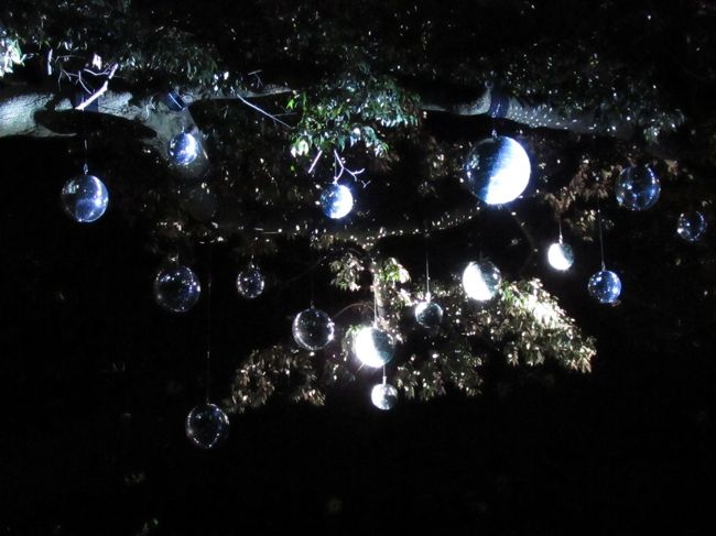 クリスマスっぽいけれどステキな輝き♪