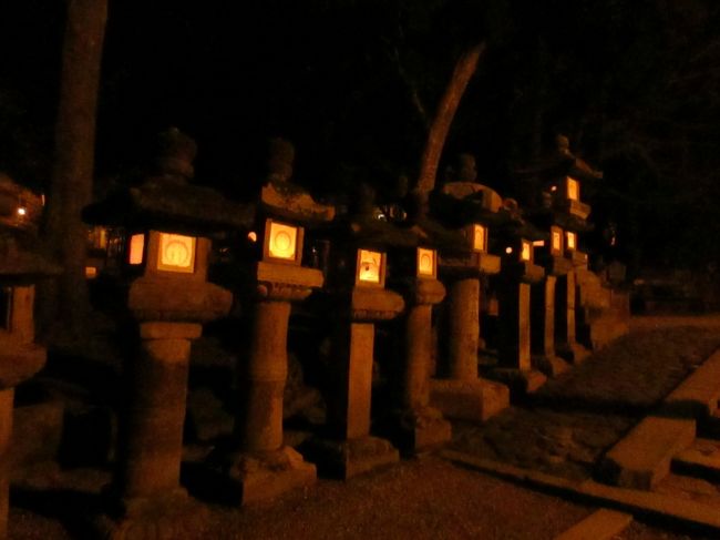 昼間は幾度となく通った参道が不思議回廊『ミラクル春日参道』に変化してしまった〜と思いながら進みます。<br /><br />先方に石灯籠の灯りが見えると春日大社はもうすぐ。