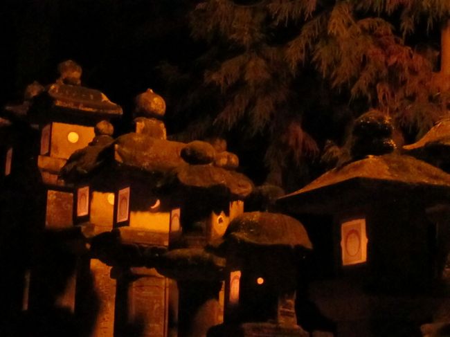 春日大社の石灯籠は約2000基もあるそうです。<br />平安時代から信仰する人々の手によって点され続けてきた浄火。<br /><br />ミラクルの現代から平安の昔にタイムスリップ。<br /><br />昔の人々もこうやって薄暗い灯りを頼りに夜参りしたのでしょう。