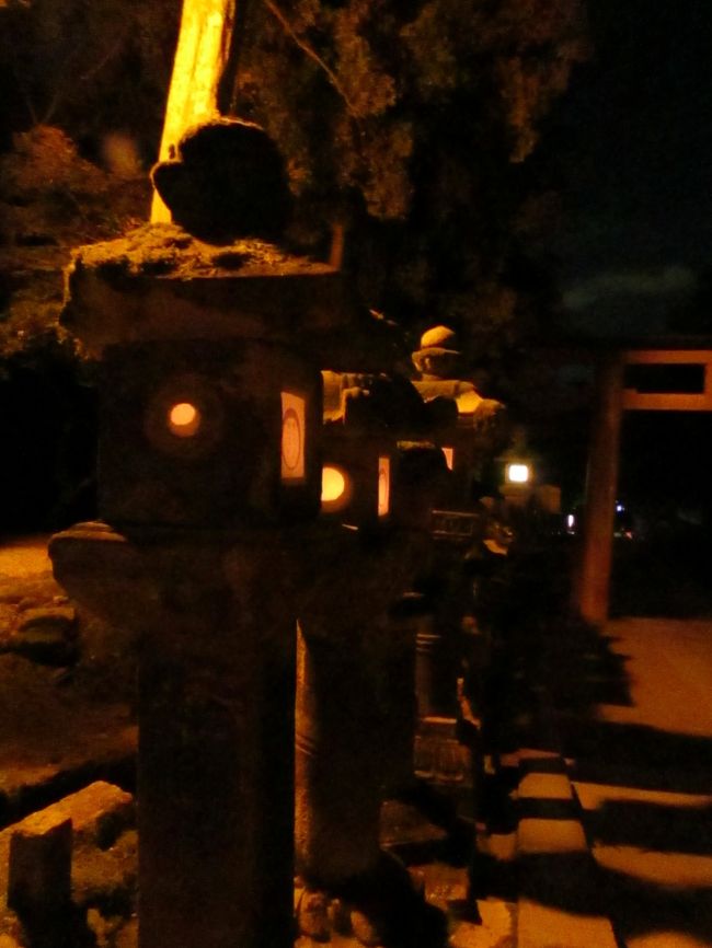 写真はますますブレてきたし、それもま、夢の世界で写したってことでご勘弁を。