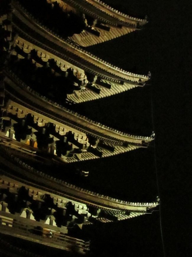 興福寺五重塔の下通ってホテルに帰りました。