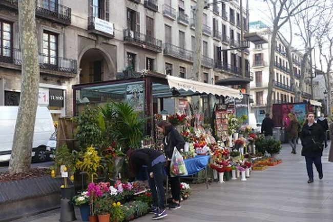 ランブラス通り。<br />BS放送で良く観る景色に興奮です!(^^)!