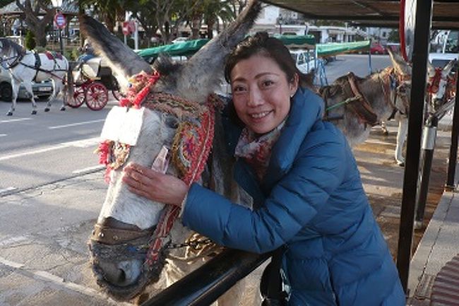 そして念願のロバタクシー♪