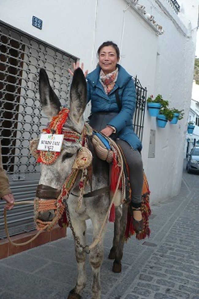 終了ギリギリ間に合い、<br />しかも偶然に添乗員さんに出会いパチリ。<br />エストイ　フェリス！！<br />ロバ君は、ポピット君５歳。<br />セニョールは（映ってませんが、ぺドロさん）<br />１５分程の１周を１０エウロ。<br />日本からチョコポッキーをロバ達にレガロです(#^.^#)