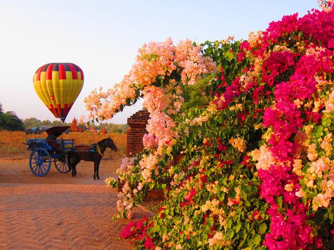 花と馬車と気球☆<br /><br />このあと気球は地面に落下。<br />本当にビックリ。