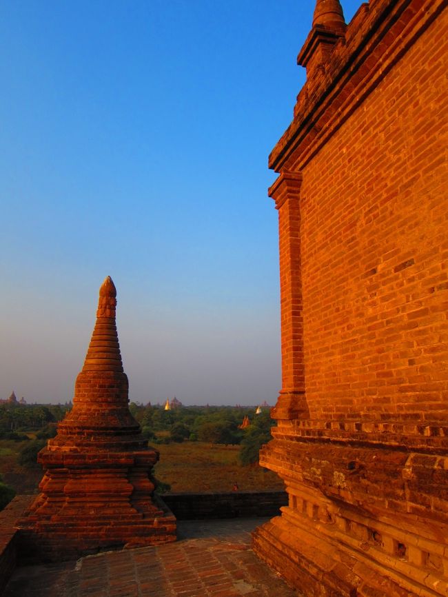 オレンジ色の世界です。