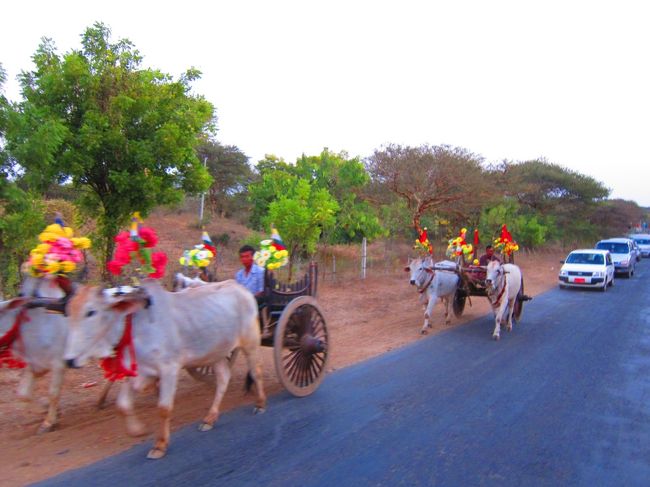 帰り際・・・なんかド派手な牛の大群に出くわしました。<br />なんの行列かわわかりませんが、ちょっとパチリ☆