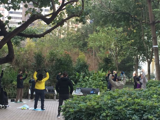 <br />　早朝の九龍公園のいつもの風景