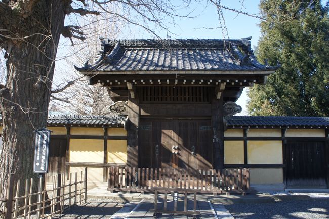 小江戸川越の街歩き~蔵造りの街並みを中心に川越城に寺町、B級グルメを訪ねます~
