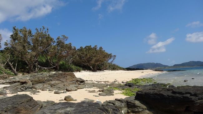 誰ひとりいないので<br />プライベートビーチ<br />状態です^_^