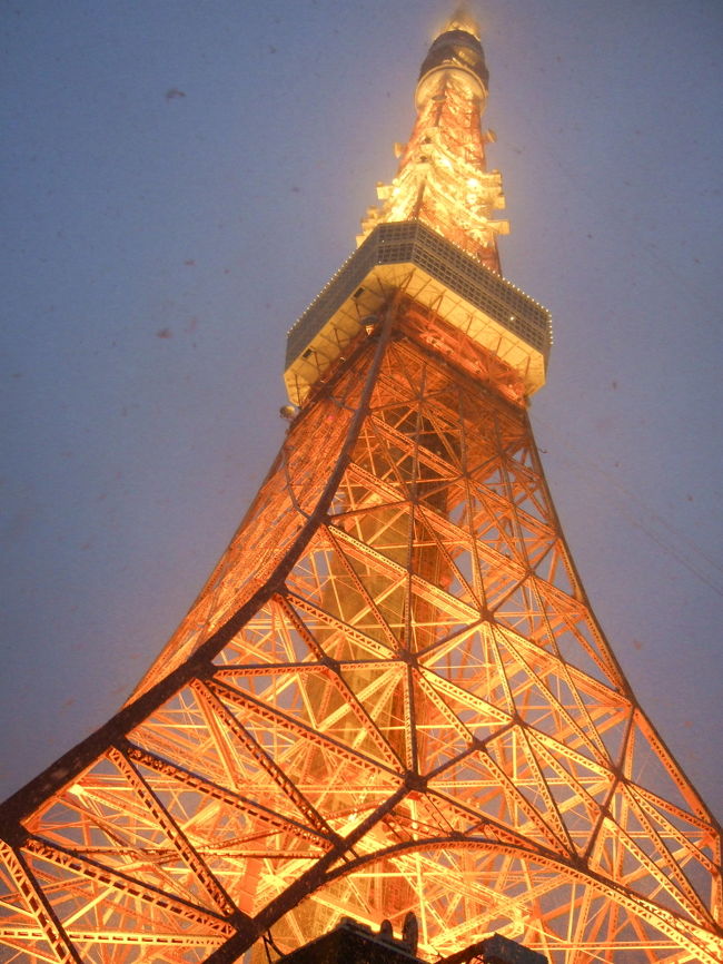 もちろん雪のちらつく東京タワーも！<br />東京タワーまで大雪の中二人で歩きましたが、<br />スカイツリーができてからか、人はまばらで閑散としてました。