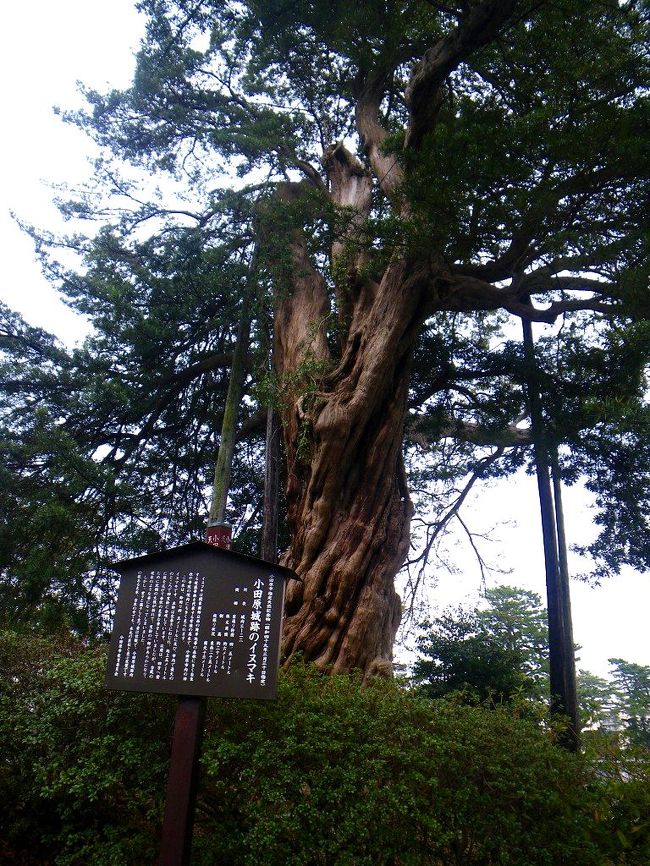 戦国時代最大の城郭の秘密ーーー。（小田原城総構え）