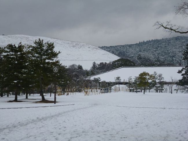 浮雲園地に行きます。若草山も真っ白です。<br />