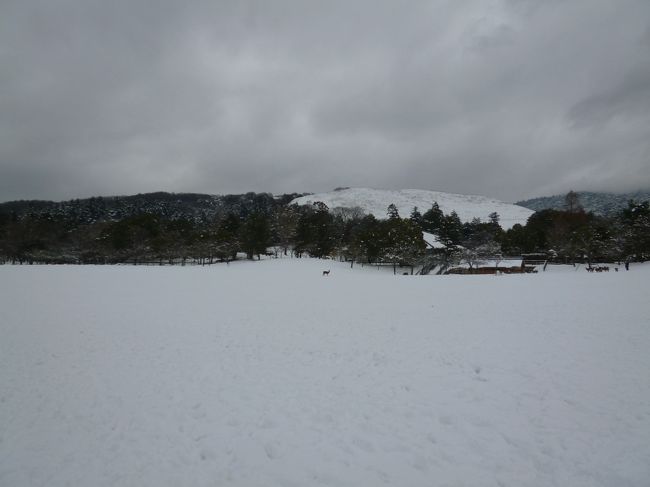 春日野園地を抜けて東大寺に向かいます。