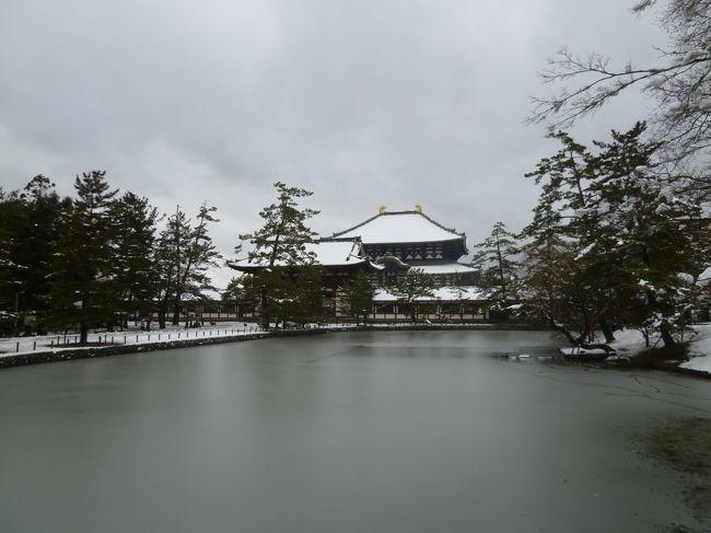 東大寺鏡池の前では写真を撮っている人が数人いました。