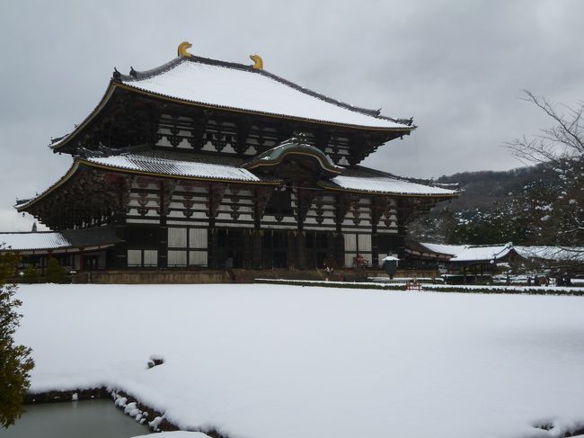 大仏殿へ向かいます。