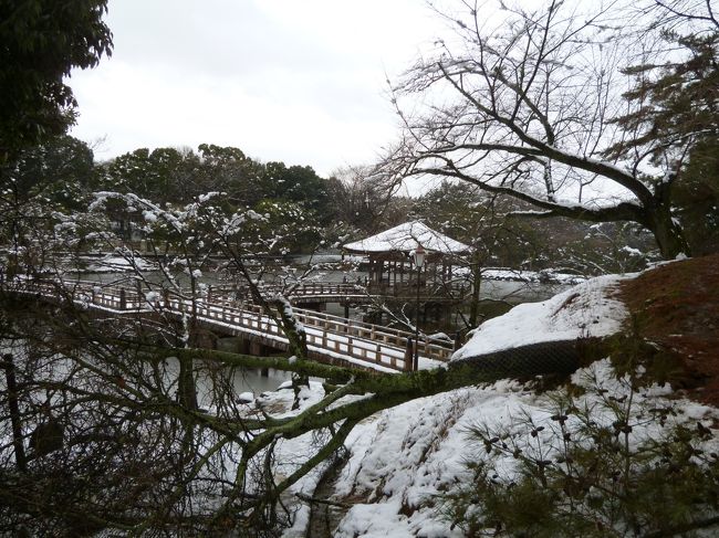 浅茅が原を抜けて浮見堂へ向かう道では雪の重みで倒木がありました。
