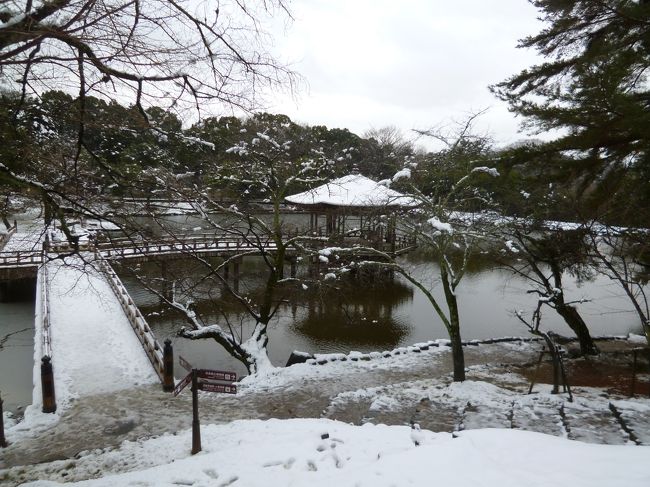 浮見堂を上から眺めます。