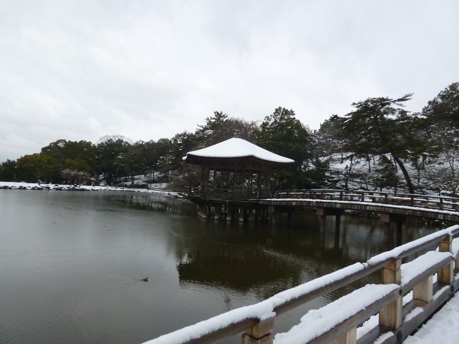 人もあまりいません