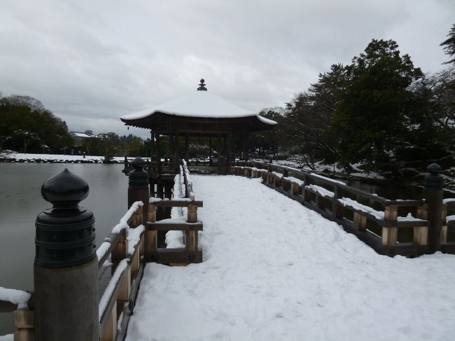 人もあまりいません