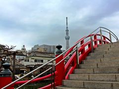 気を取り直して、亀戸（かめいど）天神へと足を向ける。


亀戸天神の大鳥居をくぐると最初に現れるのは男橋。

男橋の背後にはスカイツリーの姿。
