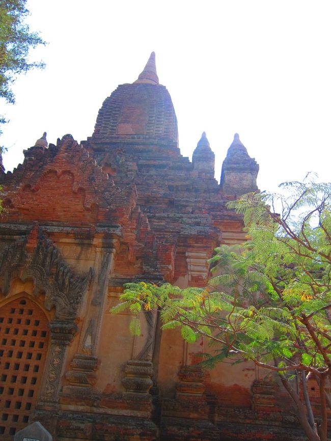 名もない番号のパゴタ。<br />これだけ大きくても名前がないんです。<br />いったいどれだけパゴタがあるんだか。