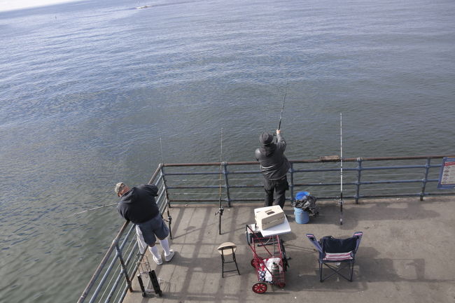 釣り人も居ましたが釣れてない様子。年にいくらかスズキが釣れるようですがあまり釣りとしての魅力はないようです。