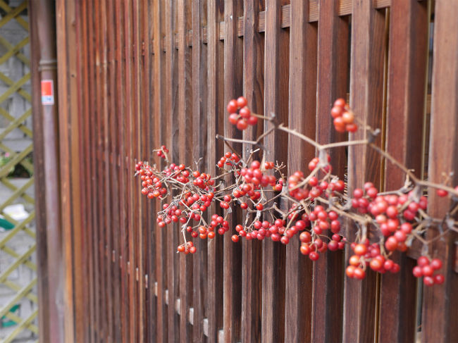 久々の奈良です。何故かこの２年位仕事がらみで４回ほど来させてもらい。来るたびに奈良の奥深さを感じています。<br />今回も仕事。冬の奈良の風物詩「なら瑠璃絵」のメイン会場新奈良公会堂のライトアップ事業を会社がお手伝いさせていただき、その関連で出張することとなりました。というより出張いれちゃいました！！