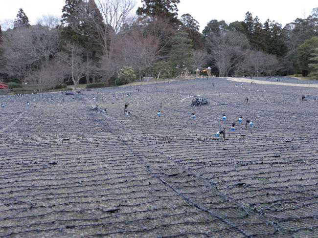 さて、お仕事で奈良新公会堂へ。。2月8日から行われている「なら瑠璃絵」は<br />今年で5年目を迎えるそうですが、今年からメイン会場となっているそうで、その仕事を会社が担当させていただき、その関係の仕事できました。<br />まずはライトアップ前の公会堂のお庭に入らせていただきました。<br />ライトアップ前はこんな感じになっています。<br />